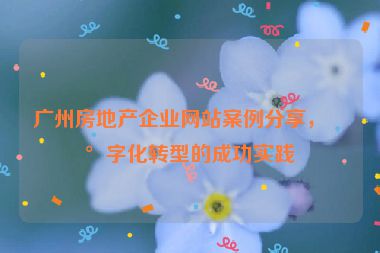 廣州房地產(chǎn)企業(yè)網(wǎng)站案例分享，數(shù)字化轉(zhuǎn)型的成功實(shí)踐