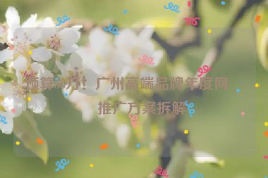 預(yù)算50萬！廣州高端品牌年度網(wǎng)站推廣方案拆解