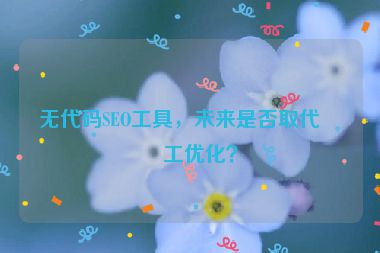 無代碼SEO工具，未來是否取代人工優(yōu)化？