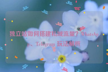 獨立站如何搭建私域流量？WhatsApp、Telegram 玩法解析