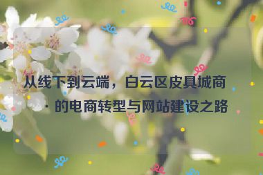 從線下到云端，白云區(qū)皮具城商戶的電商轉(zhuǎn)型與網(wǎng)站建設(shè)之路