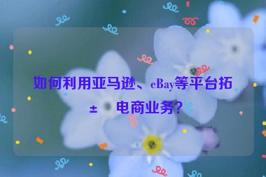 如何利用亞馬遜、eBay等平臺拓展電商業(yè)務(wù)？