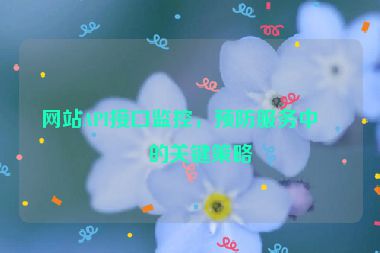 網(wǎng)站API接口監(jiān)控，預防服務中斷的關鍵策略