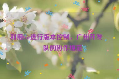 利用Git進(jìn)行版本控制，廣州開發(fā)團(tuán)隊(duì)的協(xié)作規(guī)范