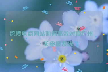 跨境電商網(wǎng)站如何高效對(duì)接廣州海關(guān)申報(bào)系統(tǒng)