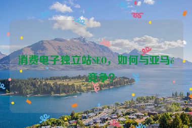 消費(fèi)電子獨(dú)立站SEO，如何與亞馬遜競(jìng)爭(zhēng)？