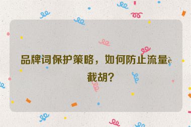 品牌詞保護(hù)策略，如何防止流量被截胡？