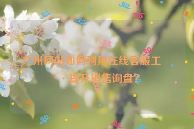 廣州網(wǎng)站如何利用在線客服工具提升銷(xiāo)售詢(xún)盤(pán)？