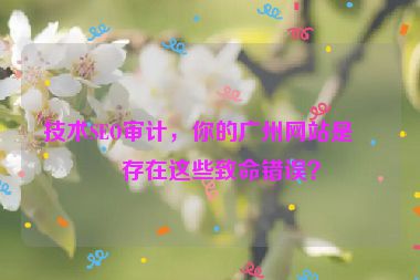 技術(shù)SEO審計(jì)，你的廣州網(wǎng)站是否存在這些致命錯(cuò)誤？