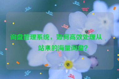 詢盤(pán)管理系統(tǒng)，如何高效處理從網(wǎng)站來(lái)的海量詢盤(pán)？