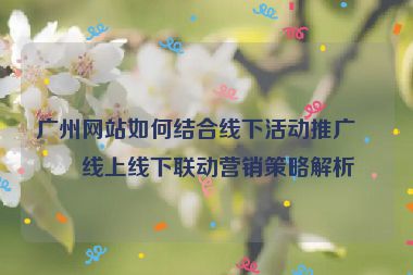 廣州網站如何結合線下活動推廣？線上線下聯(lián)動營銷策略解析