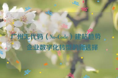 廣州無代碼（No-Code）建站趨勢，企業(yè)數(shù)字化轉(zhuǎn)型的新選擇