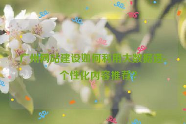 廣州網(wǎng)站建設(shè)如何利用大數(shù)據(jù)進(jìn)行個(gè)性化內(nèi)容推薦？