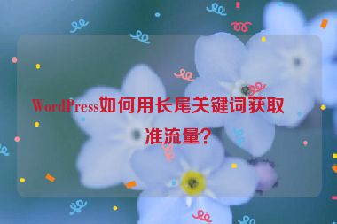 WordPress如何用長尾關(guān)鍵詞獲取精準流量？
